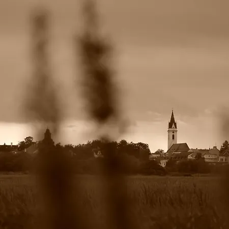 37 Apartamento Třeboň